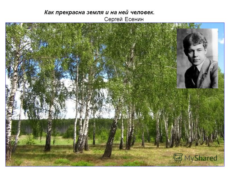 Конкурс к юбилею писателя Конкурс к юбилею писателя
