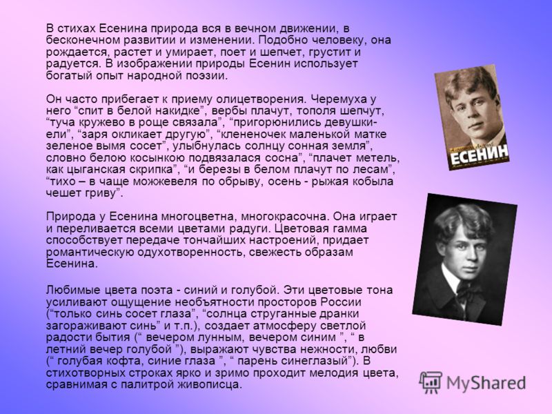 Стихи есенина главный стих Стихи есенина главный стих