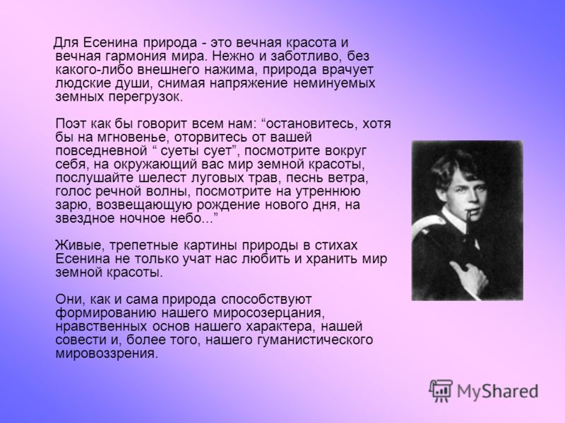 Стих есенина а говорила Стих есенина а говорила