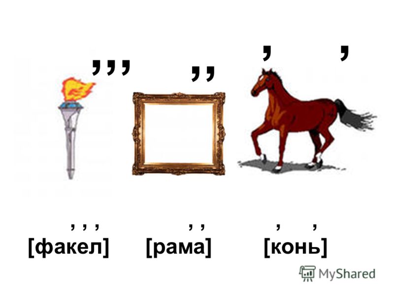 Биология 9 класс ребусы
