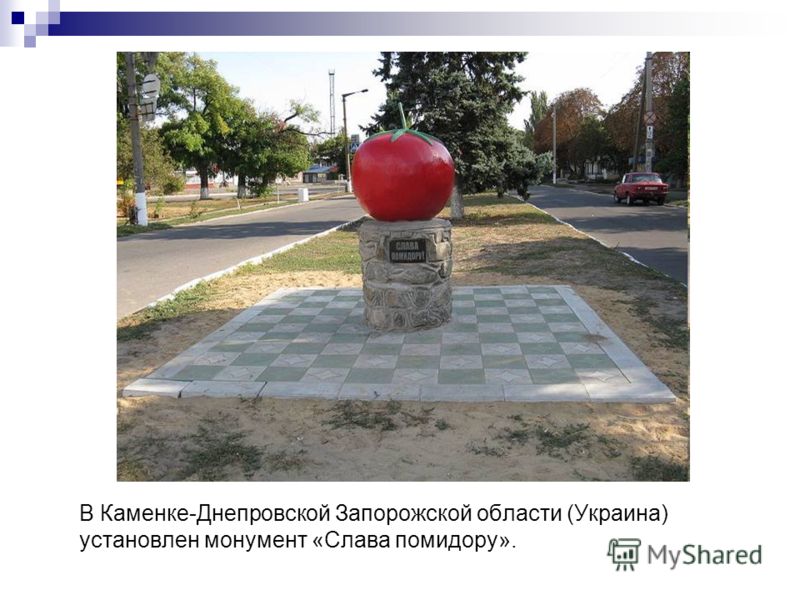 В Каменке-Днепровской Запорожской области (Украина) установлен монумент «Слава помидору».