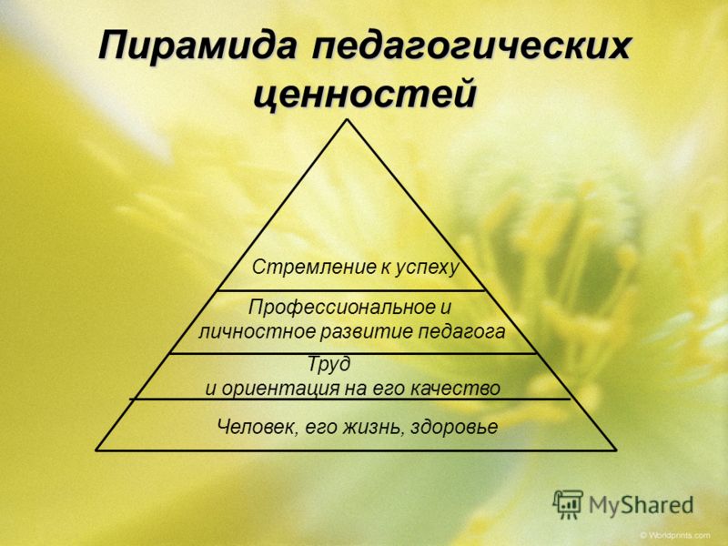 С какими свойствами человека связано стремление обрести 40