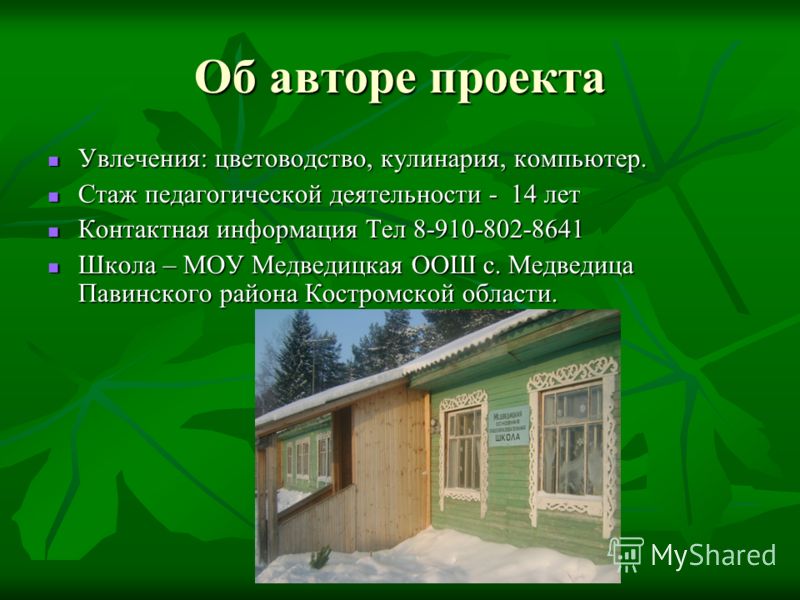 Как называется проект в 9 классе