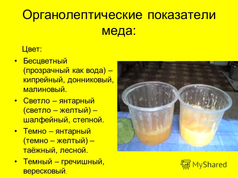 Как сделать презентацию о меде Как сделать презентацию о меде