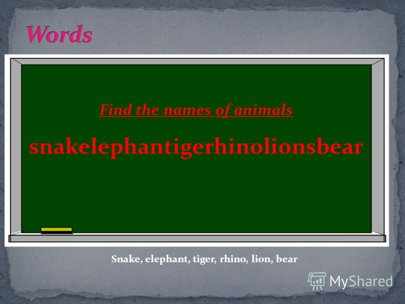 Find the names of animals snakelephantigerhinolionsbear Snake, elephant, tiger, rhino, lion, bear