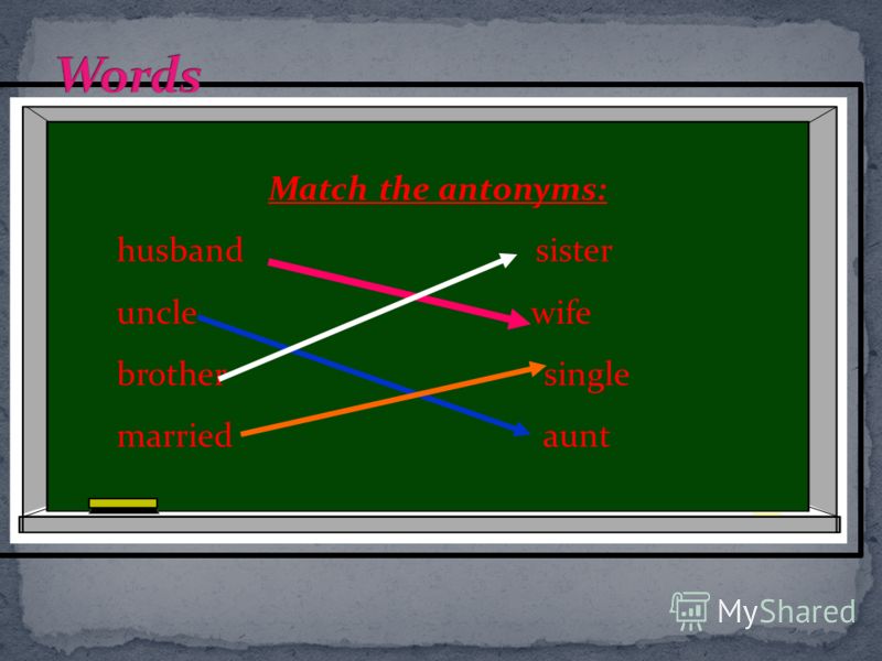 Match the antonyms: husband sister uncle wife brother single married aunt