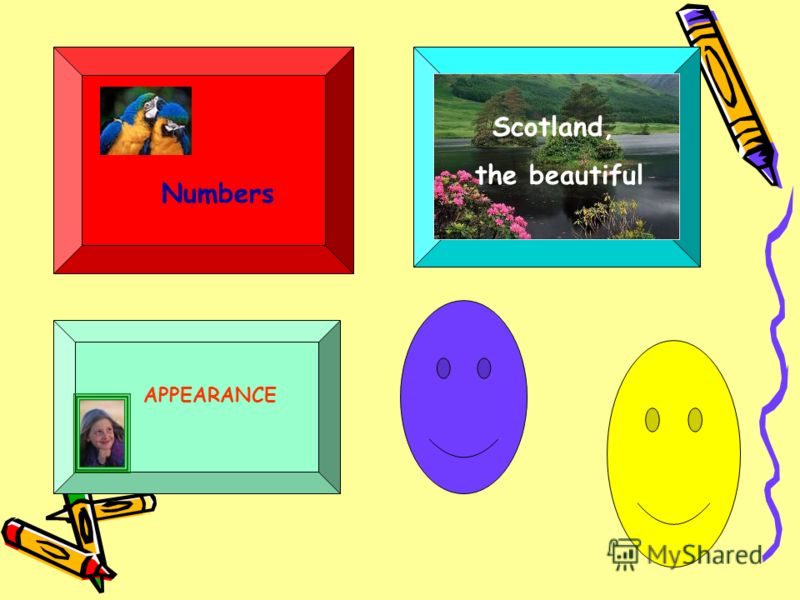 Numbers Scotland, the beautiful APPEARANCE