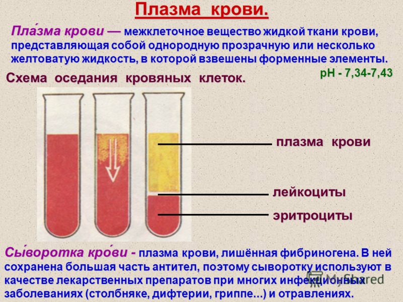 Плазма крови. Пла́зма крови межклеточное вещество жидкой ткани крови, представляющая собой однородную прозрачную или несколько желтоватую жидкость, в которой взвешены форменные элементы. Схема оседания кровяных клеток. Сы́воротка кро́ви - плазма кров