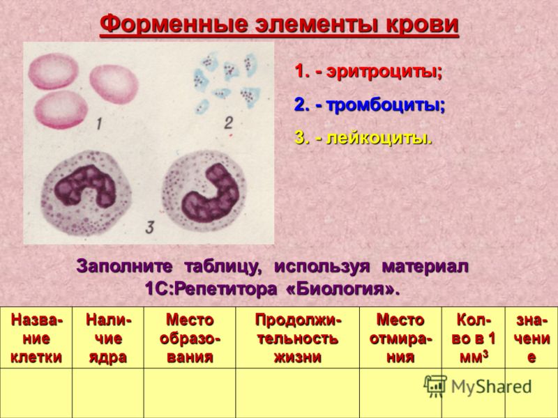 Форменные элементы крови 1.- эритроциты; 2.- тромбоциты; 3.-лейкоциты. 3.- лейкоциты. Назва- ние клетки Нали- чие ядра Место образо- вания Продолжи- тельность жизни Место отмира- ния Кол- во в 1 мм 3 зна- чени е Заполните таблицу, используя материал 