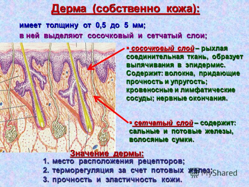 Мочевая кислота под кожей Мочевая кислота под кожей