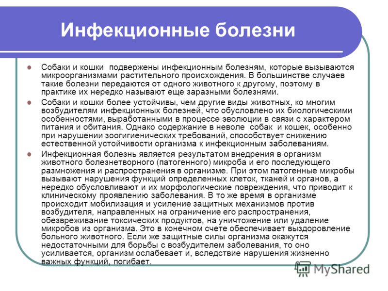 До какого срока болит грудь у беременных