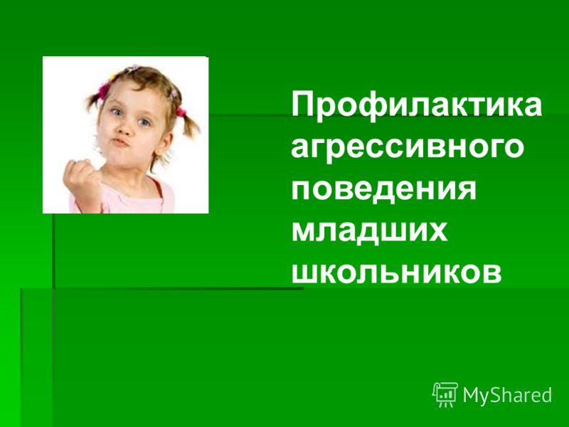 Дипломная работа по теме Педагогическая профилактика агрессивного поведения младших школьников Дипломная работа по теме Педагогическая профилактика агрессивного поведения младших школьников