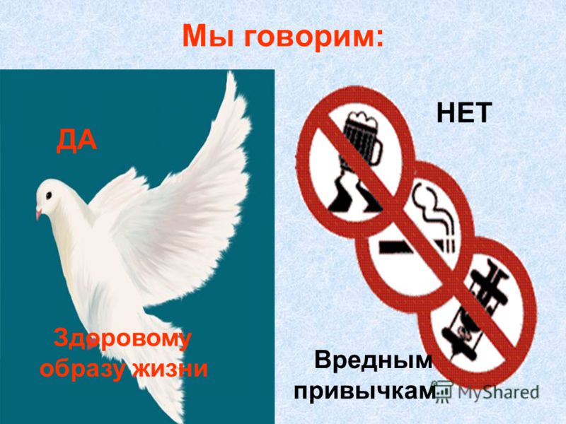 вредным привычкам нет картинки вредным привычкам нет картинки