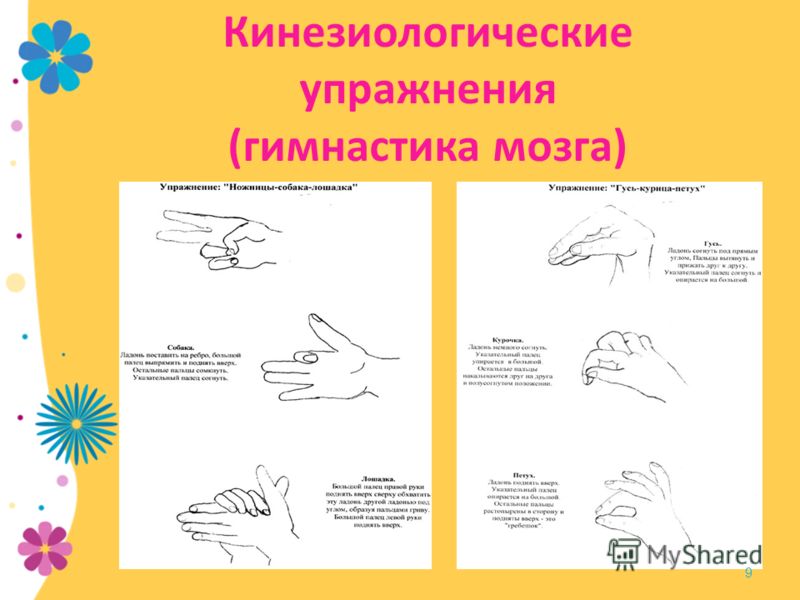 Вязание крючком шнура Видео! - t-Видео сёрфинг Вязание косынки спицами: схемы и описание работы