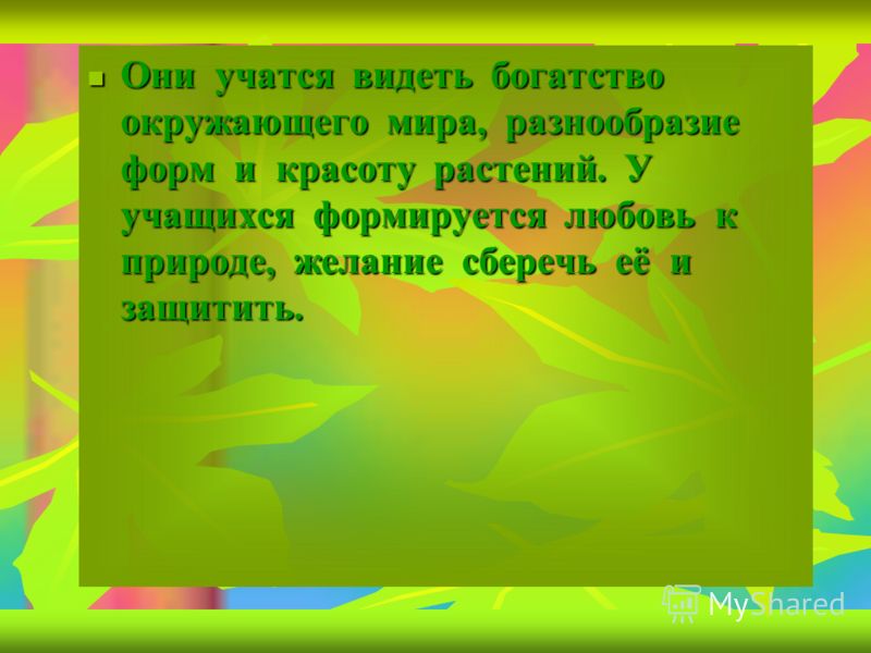 Как я воспринимаю красоту окружающего меня мира Как я воспринимаю красоту окружающего меня мира