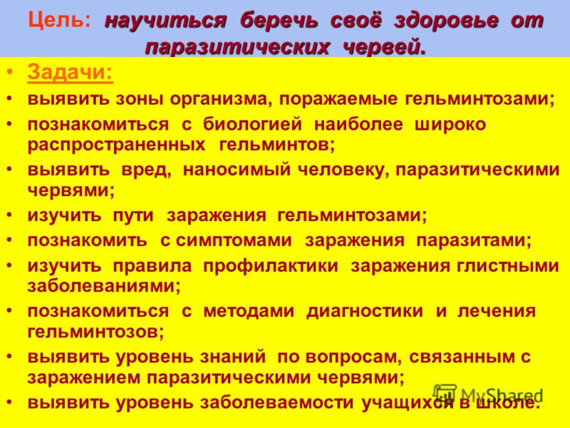 Дипломная работа по теме Черви-паразиты Дипломная работа по теме Черви-паразиты