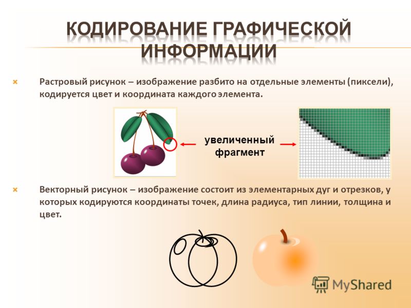 Из каких элементов строится растровое изображение - Basanova.ru