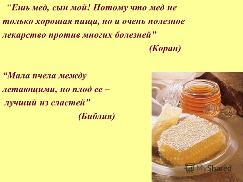 Клиника медпрактика в москве