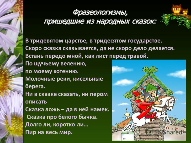 Богатство русского фразеологизма проект 8 класс
