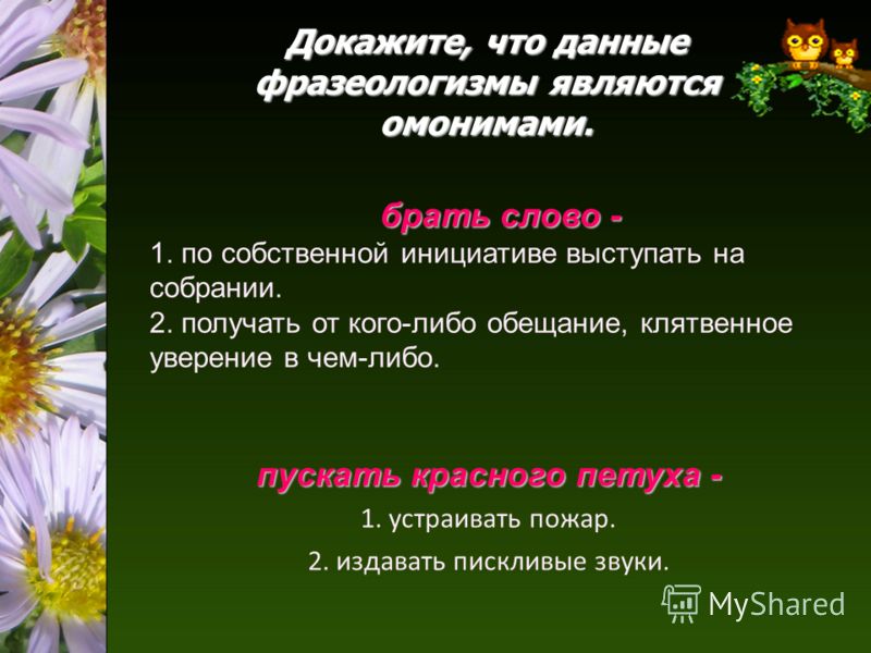 Проект на тему богатство русского фразеологизма 8 класс