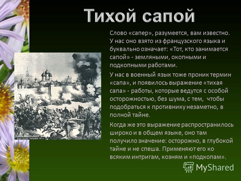 Проект "Фразеологическое богатство русского языка" (курс "риторика")