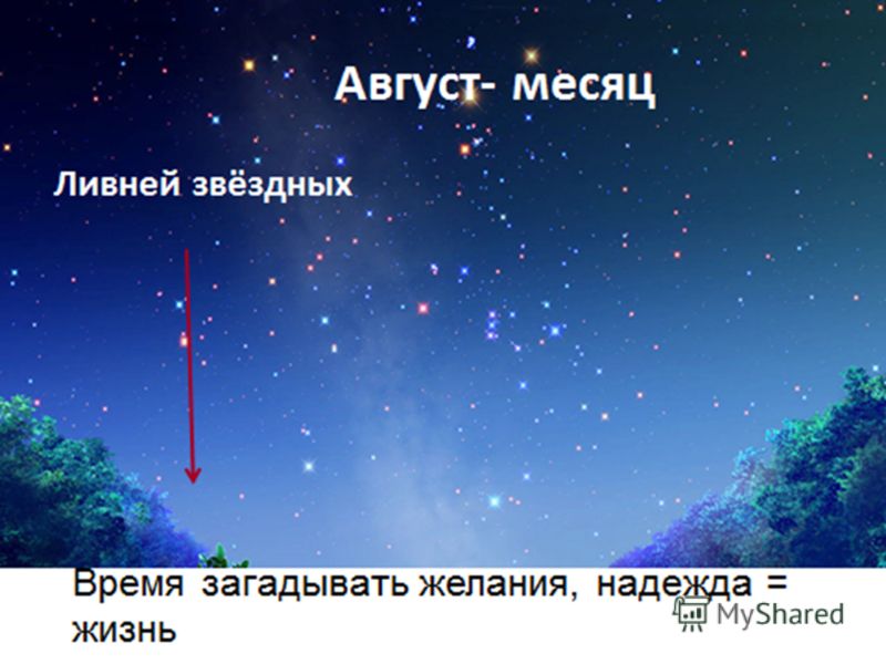 Август астры Цветаева