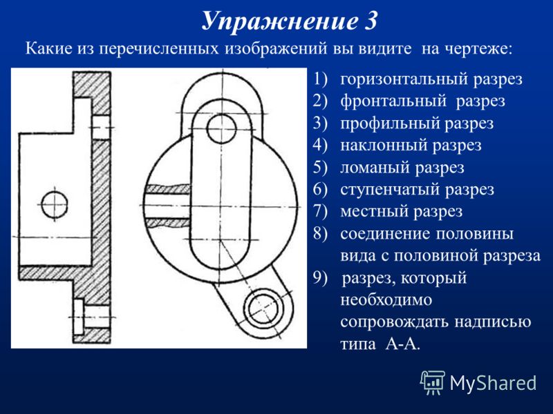 какие из перечисленных организмов являются паразитами какие из перечисленных организмов являются паразитами