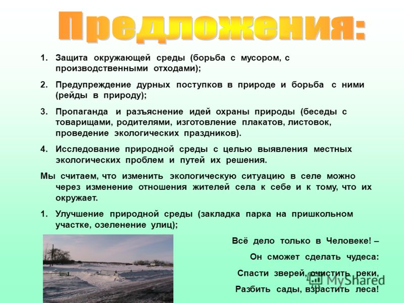 Защита природы от мусора картинки Защита природы от мусора картинки