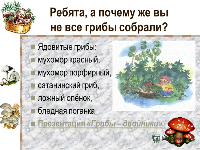 С чем связано уменьшение шляпочных грибов С чем связано уменьшение шляпочных грибов