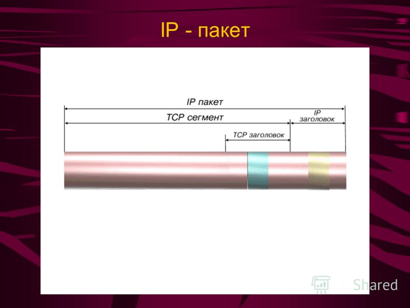 IP-пакет включает в себя разделы, сформированные протоколами IP и TCP: IP-заголовок TCP-сегмент IP - пакет