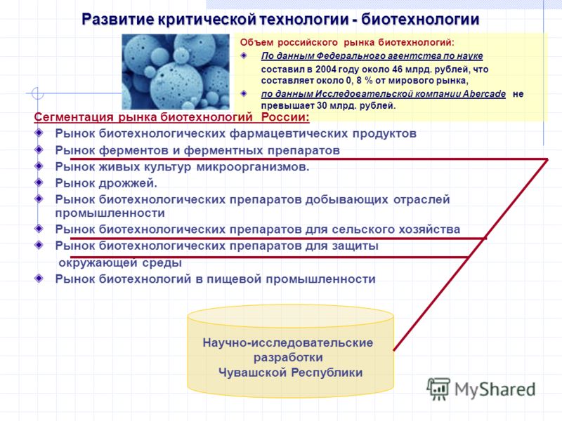 Развитие критической технологии - биотехнологии Объем российского рынка биотехнологий: По данным Федерального агентства по науке составил в 2004 году около 46 млрд. рублей, что составляет около 0, 8 % от мирового рынка, по данным Исследовательской ко