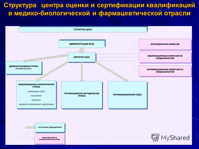 Структура центра оценки и сертификации квалификаций в медико-биологической и фармацевтической отрасли