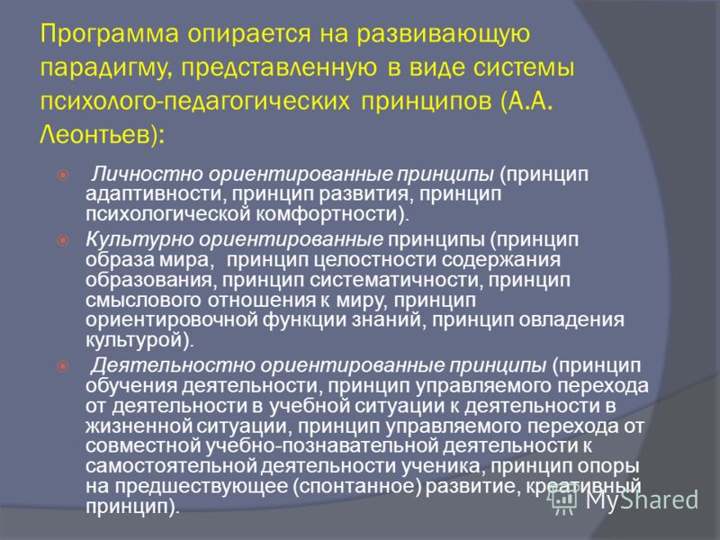 Принцип смыслового отношения к миру Принцип смыслового отношения к миру