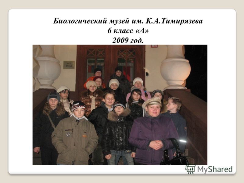 Биологический музей им. К.А.Тимирязева 6 класс «А» 2009 год.