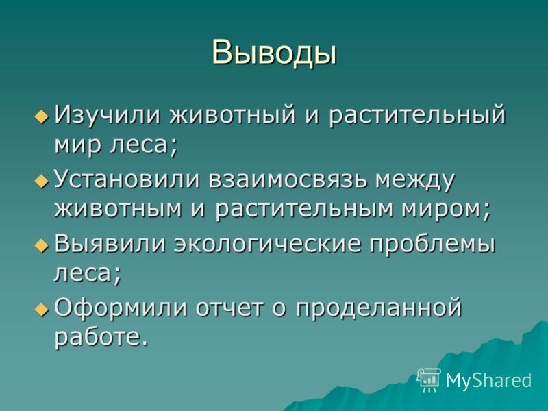 Почему растительный и животный мир зоны лесов более разнообразен Почему растительный и животный мир зоны лесов более разнообразен