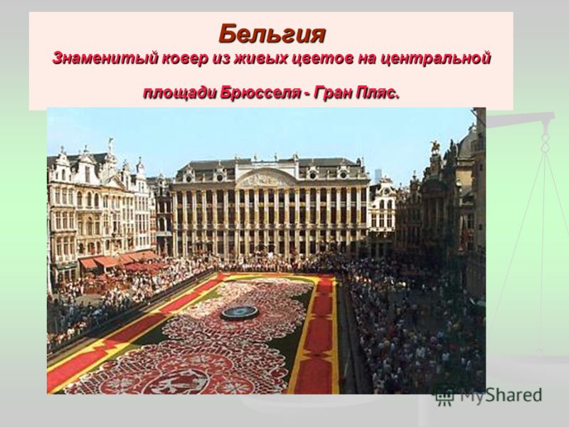 Бельгия Знаменитый ковер из живых цветов на центральной площади Брюсселя - Гран Пляс.