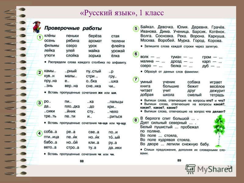 Шпаргалка по методике преподавания математики в начальной школе