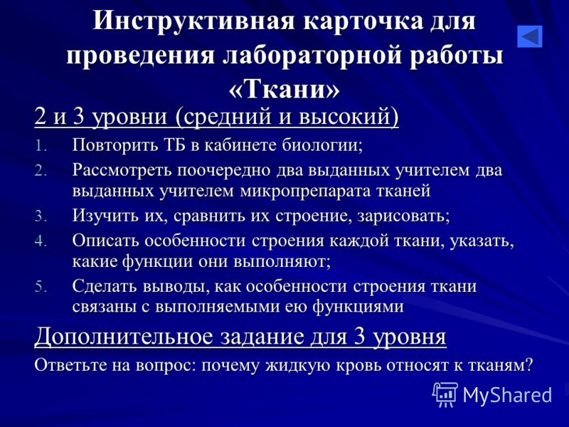 Загадки связанные с деревьями Загадки связанные с деревьями