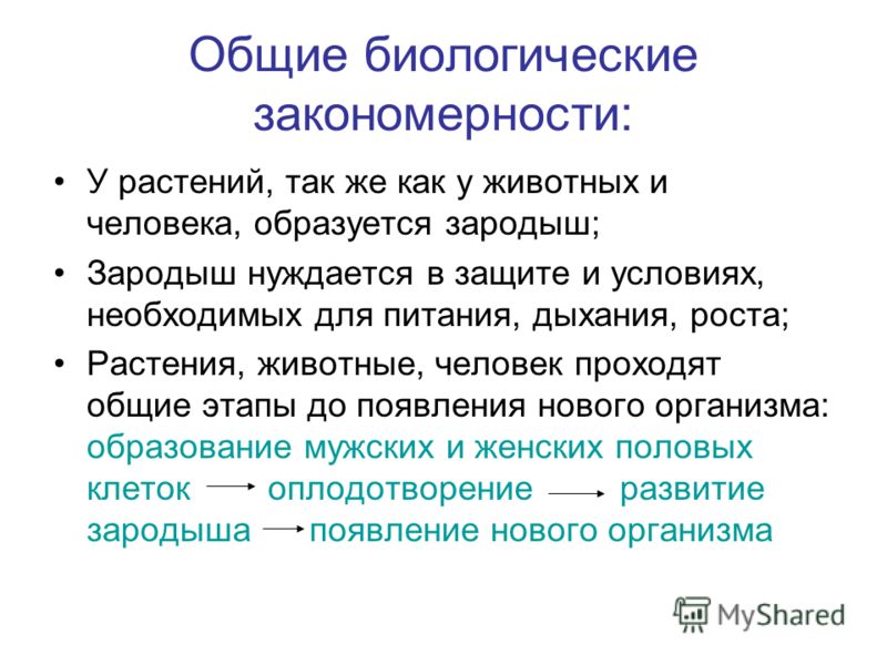 Организация процесса биологии