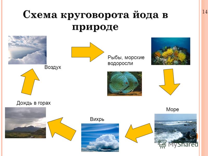 Картинки вихрь в природе Картинки вихрь в природе