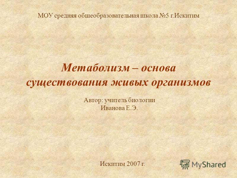пластический обмен в клетке презентация 10 класс