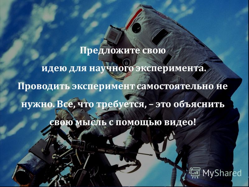 Тост для вливания в коллективе Тост для вливания в коллективе