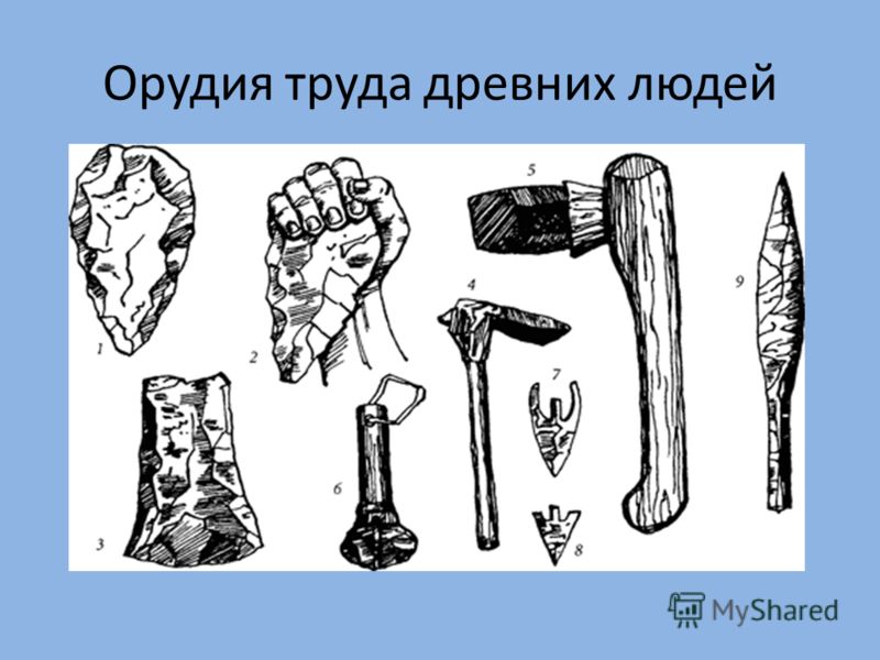 Каменное орудие рисунок Каменное орудие рисунок