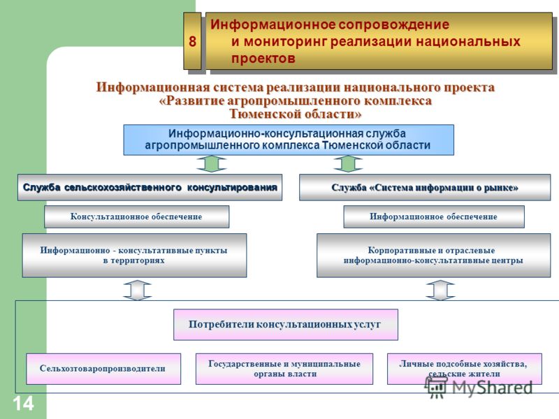 Мониторинг реализации национальных проектов