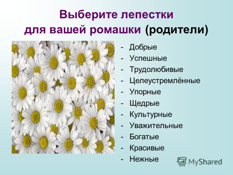 Поговорки не жили хорошо Поговорки не жили хорошо