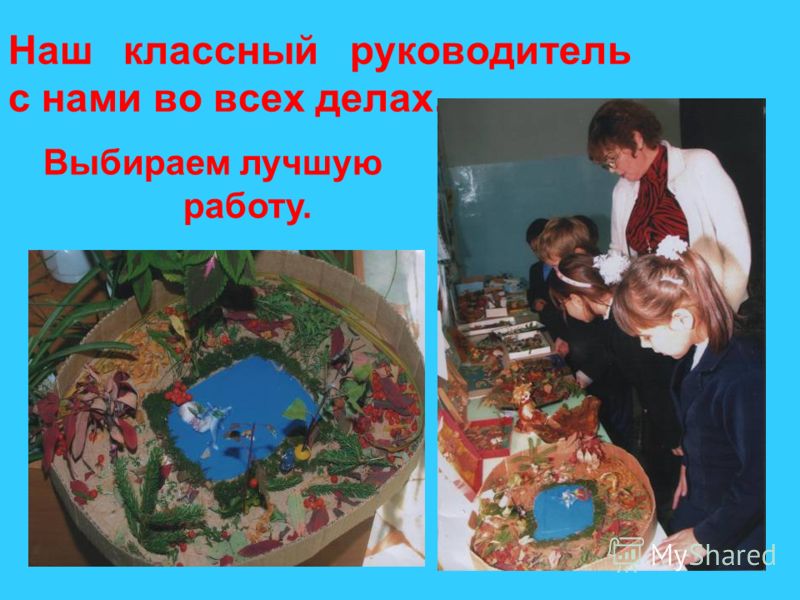 Мы защитники природы конкурсы Мы защитники природы конкурсы