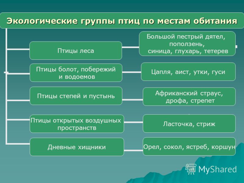 Таблица экологические факторы - Вопросы и ответы