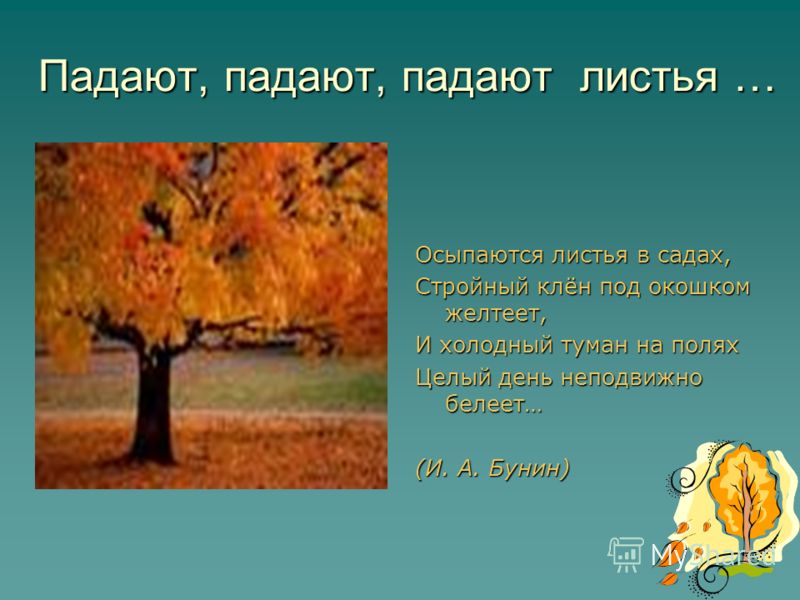Стих об падающие листья Стих об падающие листья