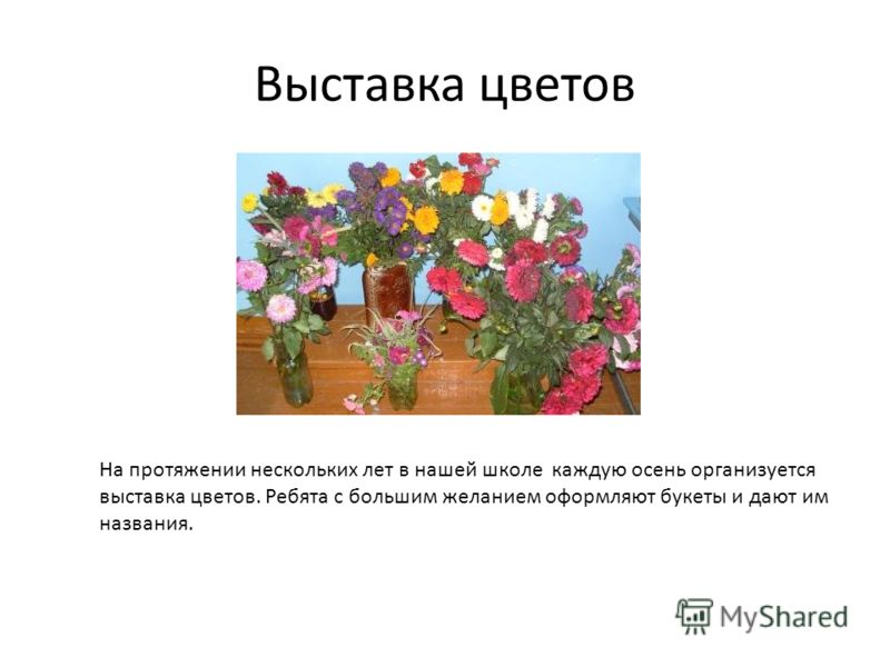 Название поделки цветка Название поделки цветка