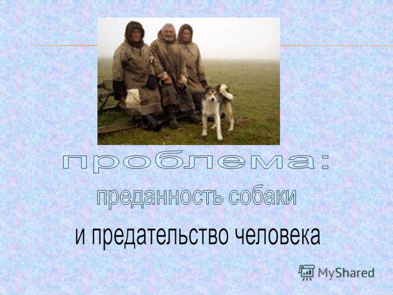 Отношение человека к собаке аргумент Отношение человека к собаке аргумент